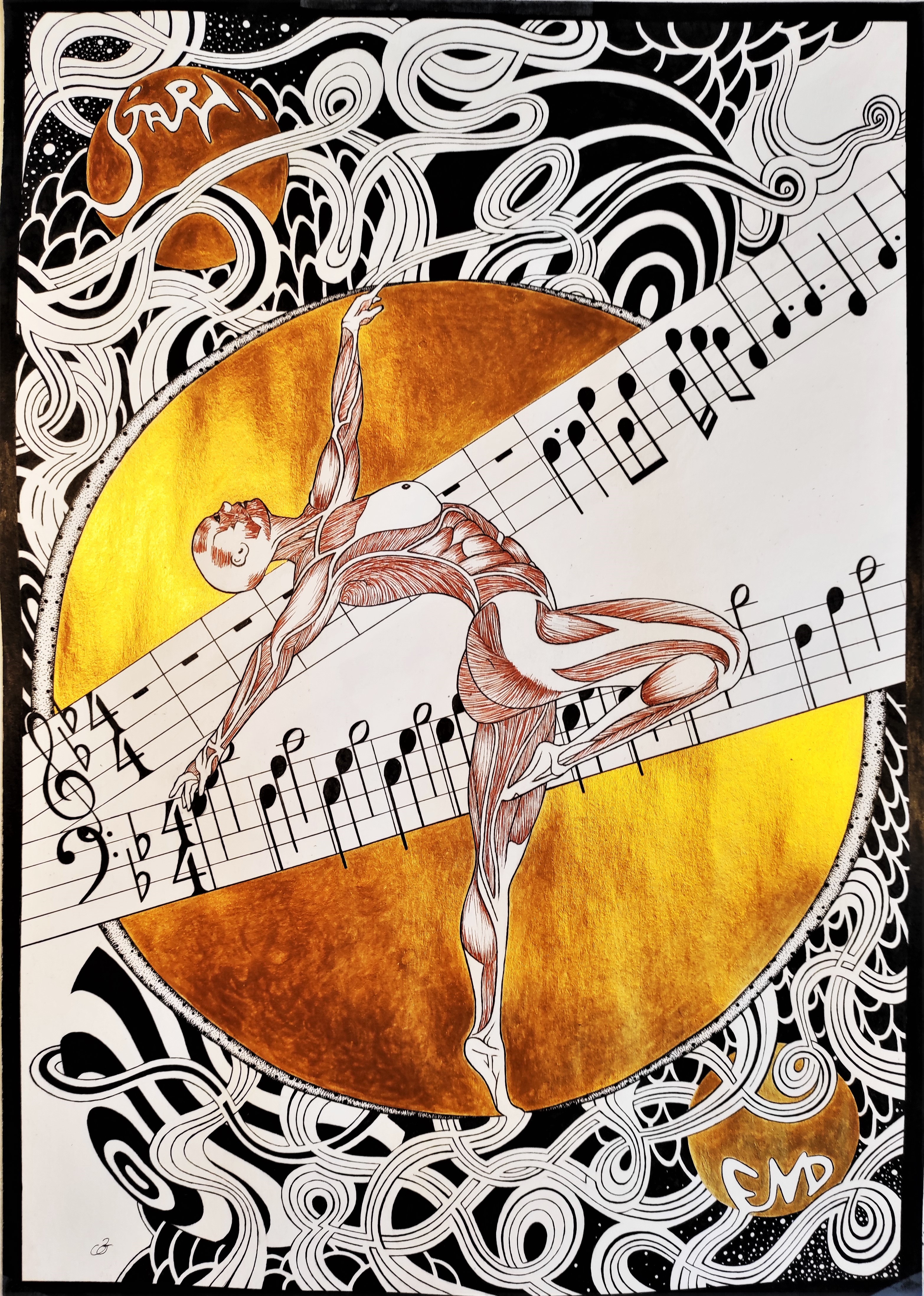 Anatomy dance