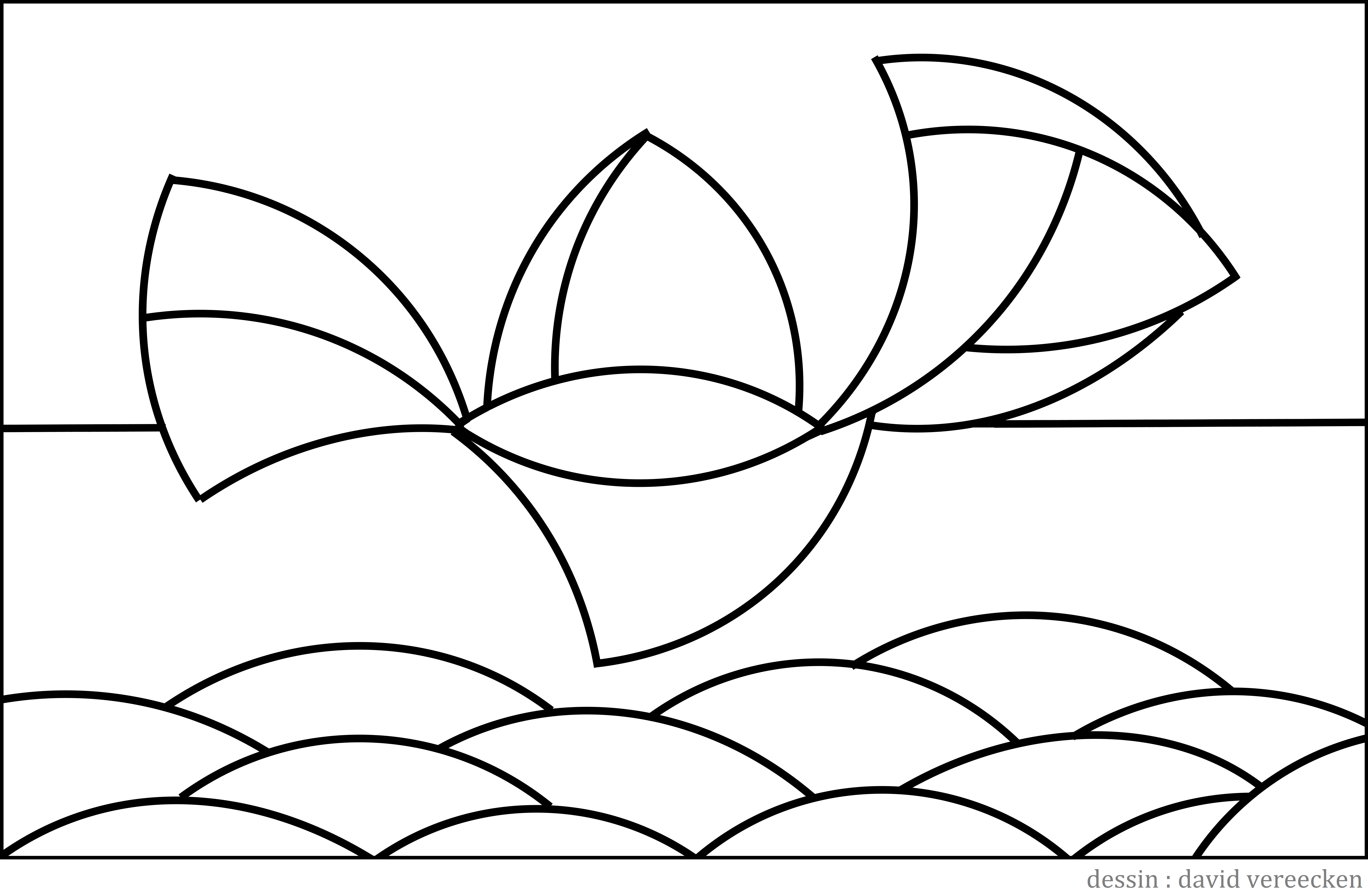 coloriage david vereecken
