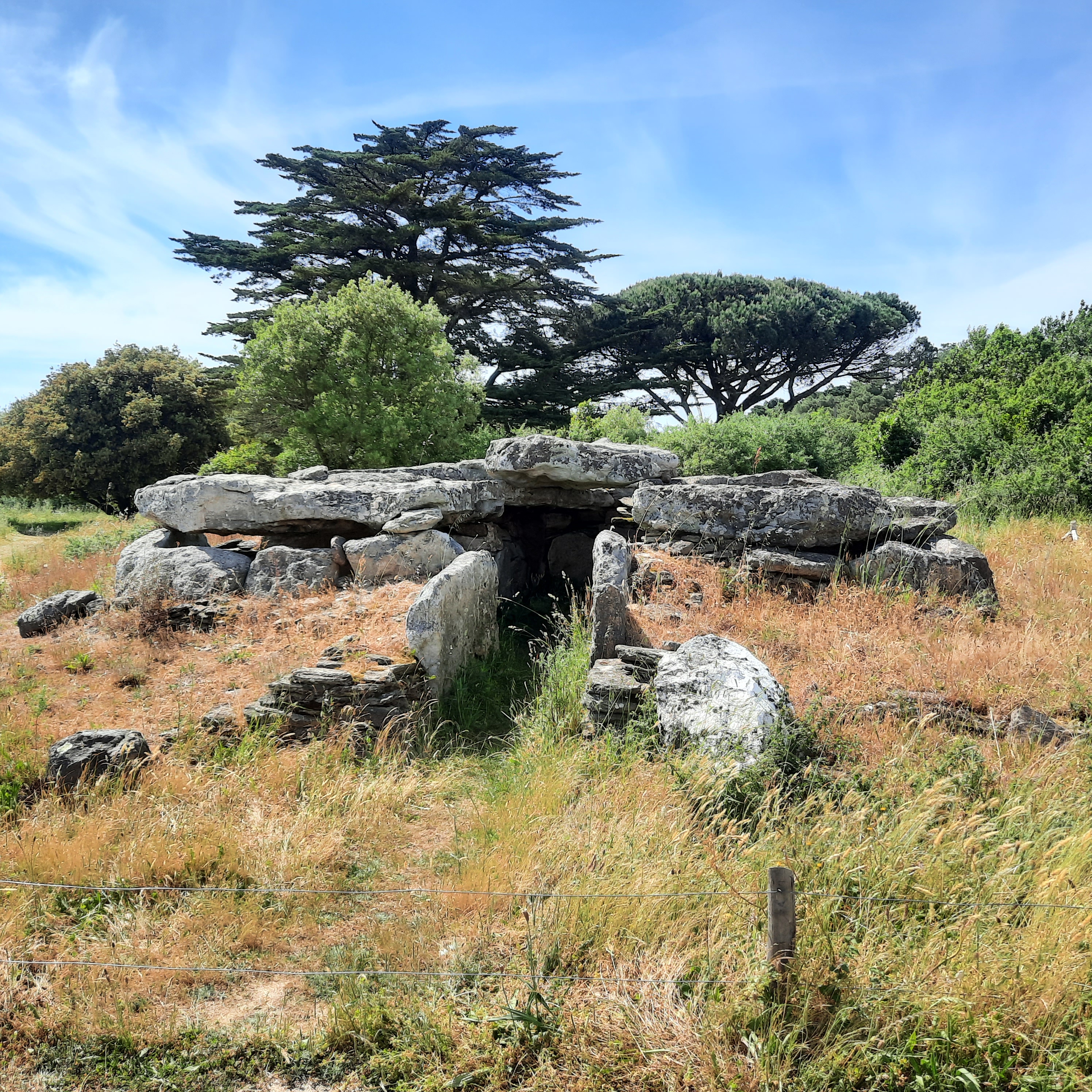 Dolmen de la Joselière, dernière demeure de personnes sans doute importantes