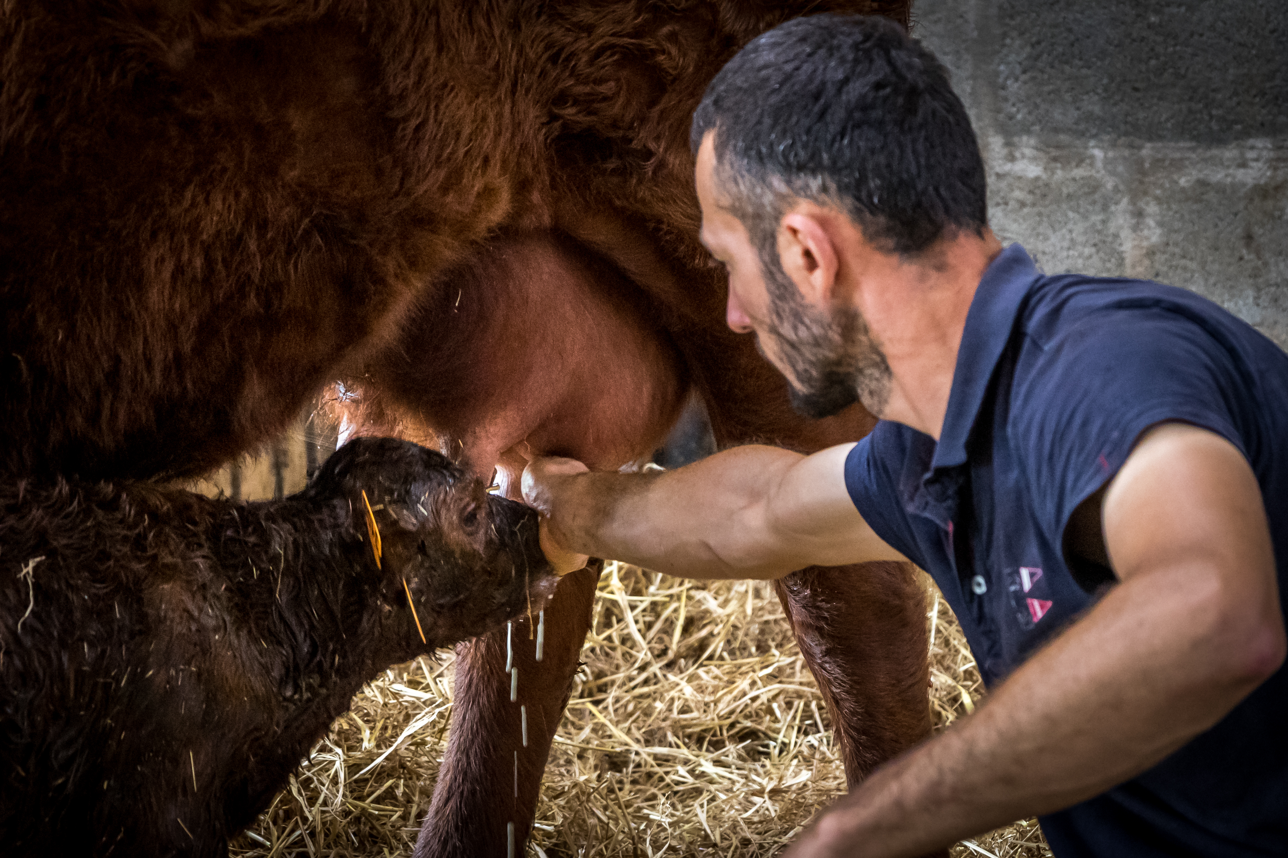 L etable des mauges 2021 1615