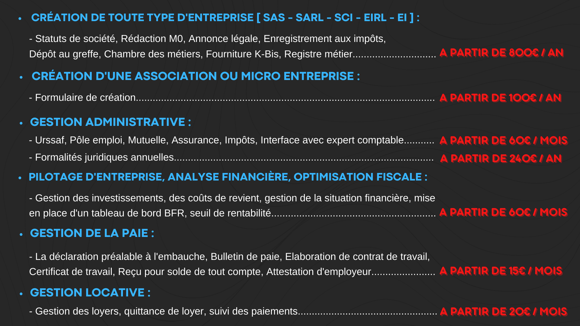 Rouge-et-Noir-Mince-Geometrique-Lignes-Conseils-Financiers-Finance-Presentation-2-