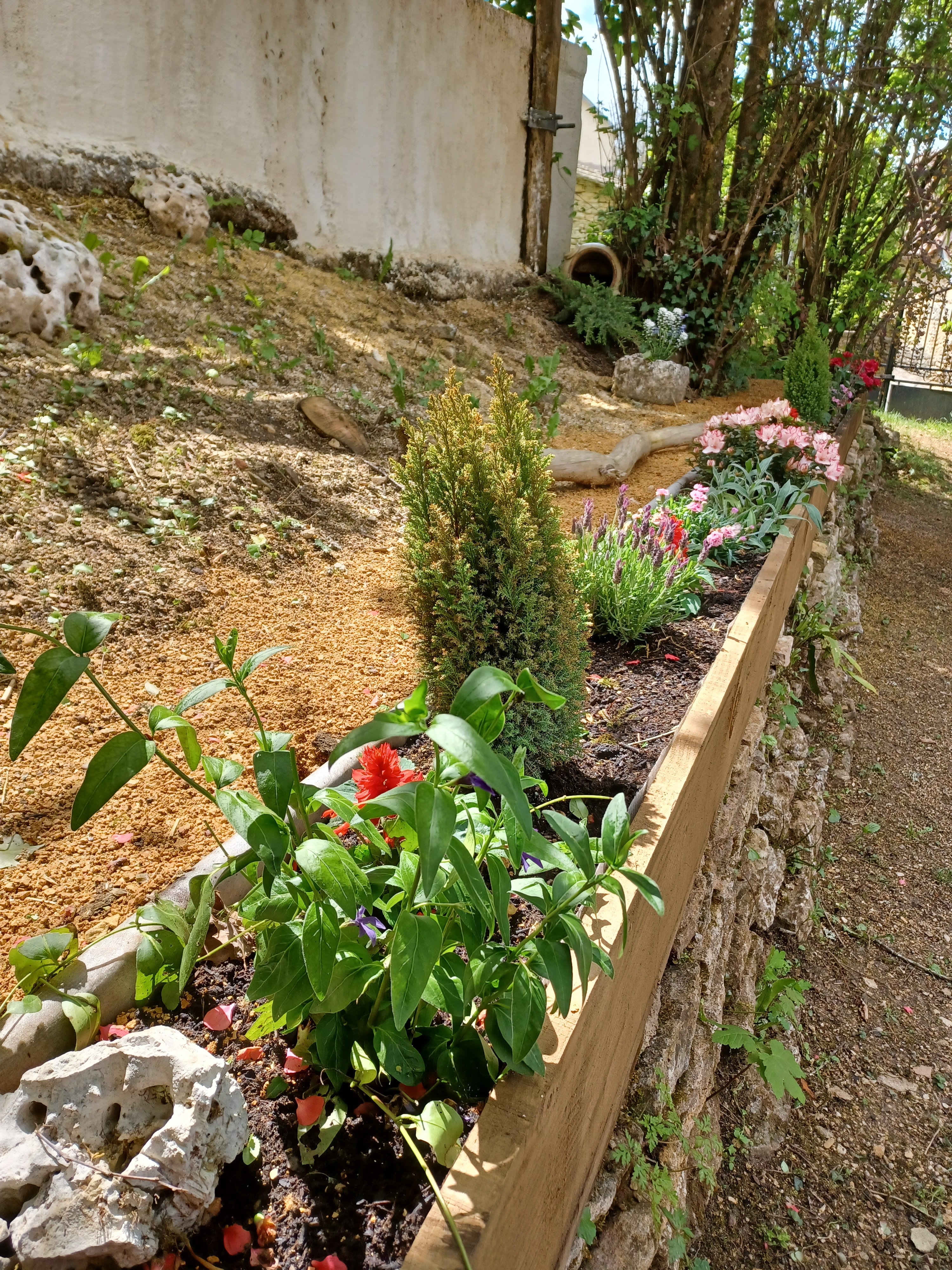 Gite fleurs 1