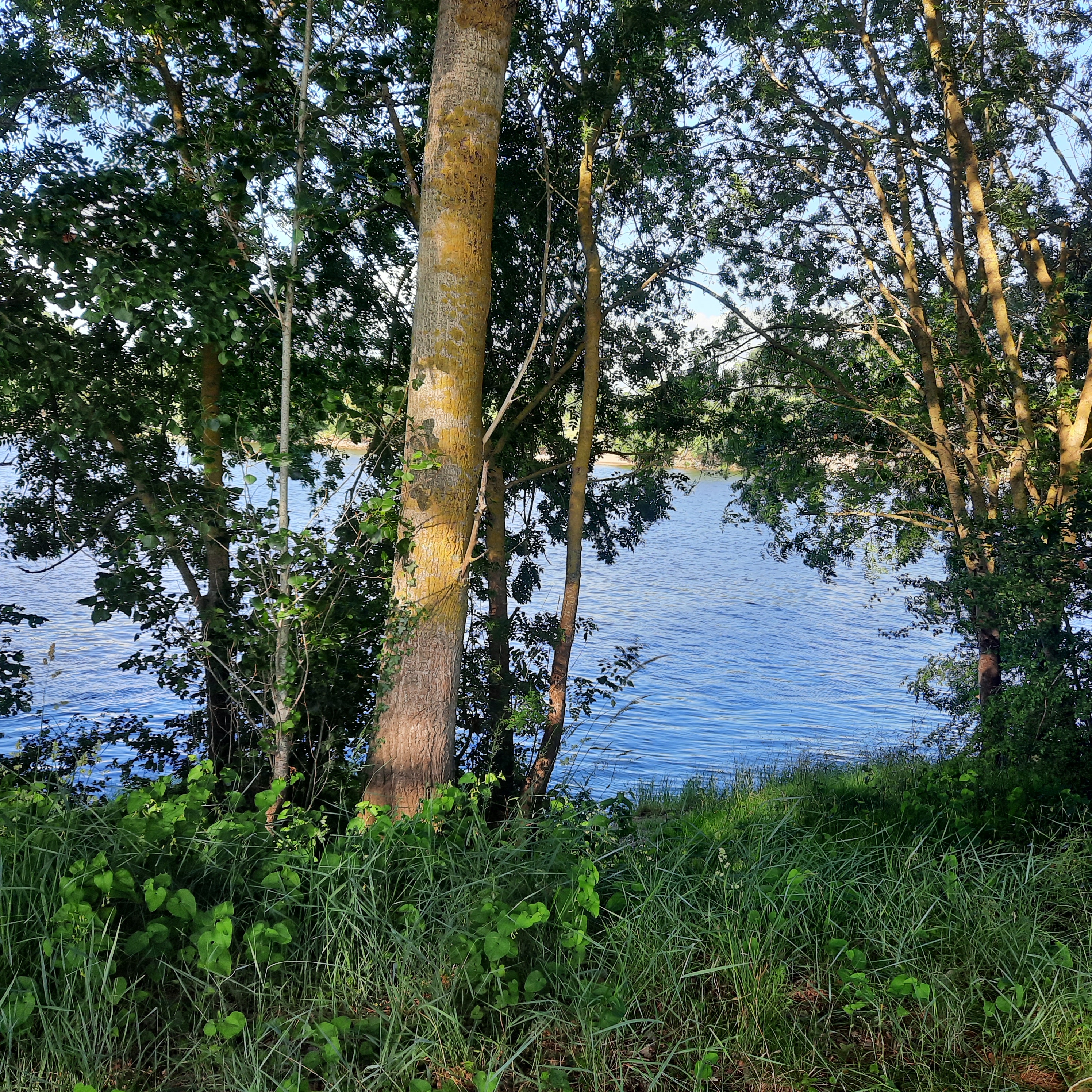 Vision rassurante de la Loire après de nombreuses montées et descentes loin du fleuve