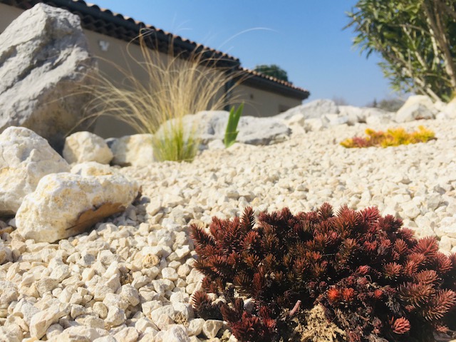 Jardin sec à Montélimar