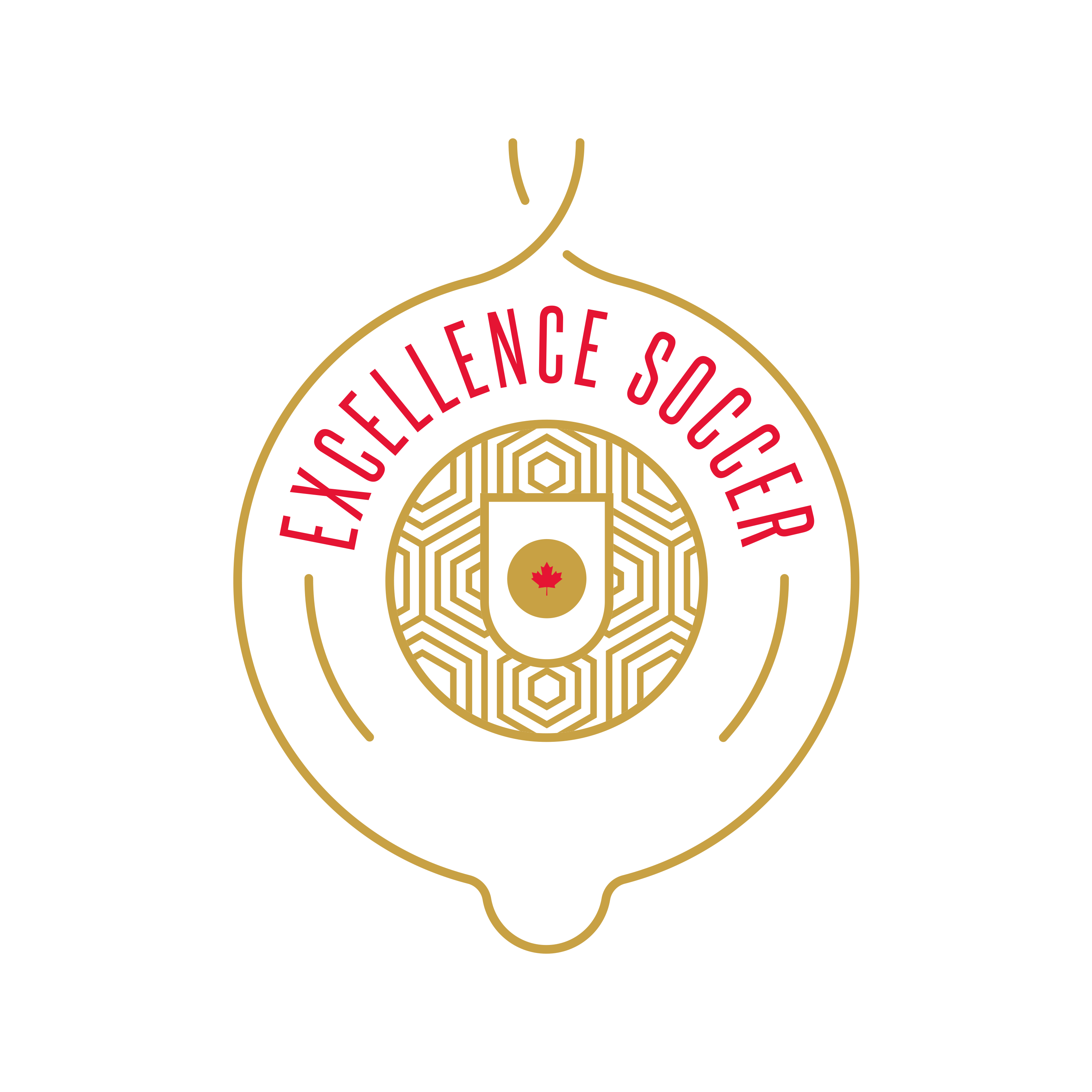 Logo Excellence Soccer Academie