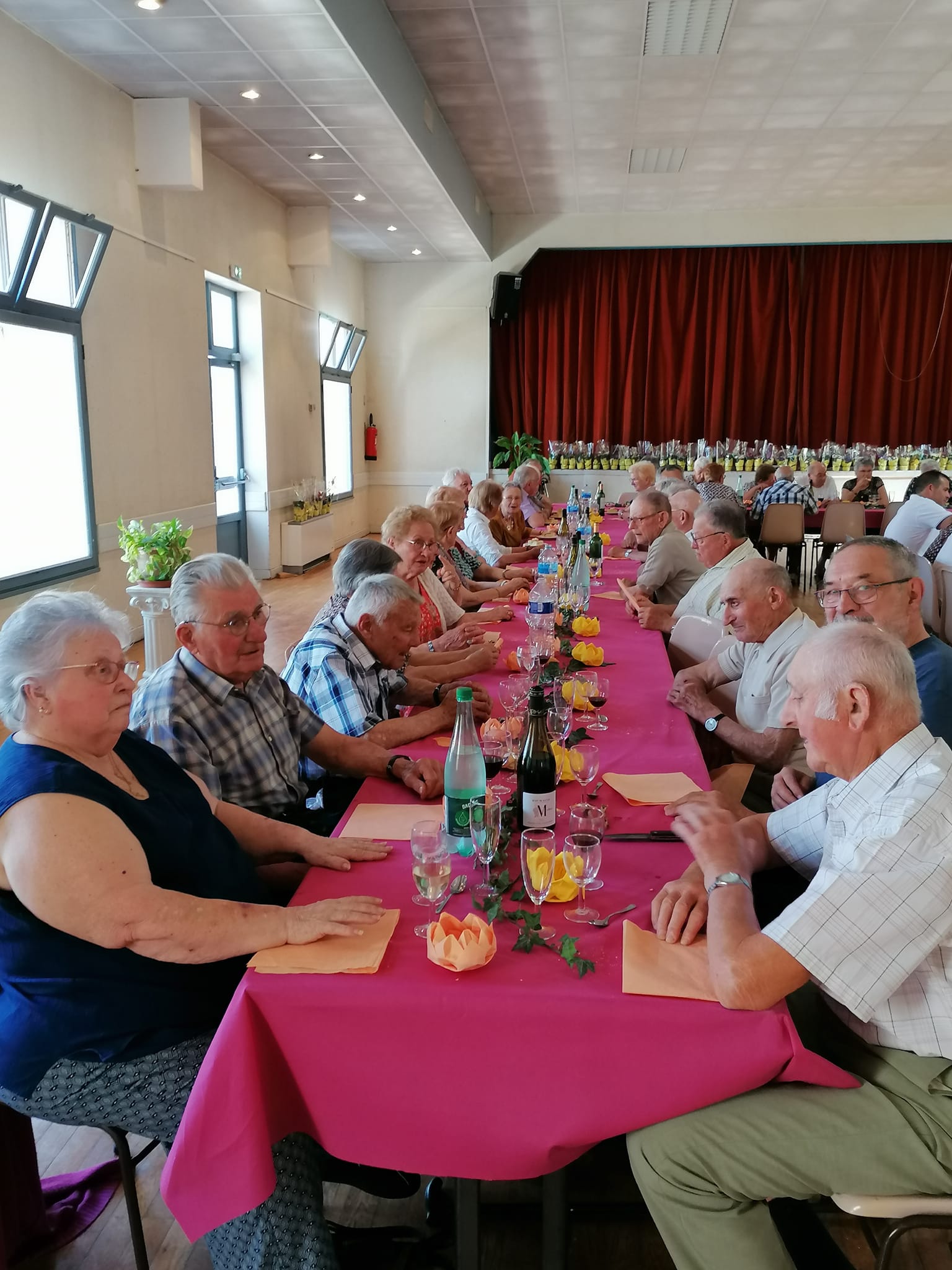 Repas des Aînés