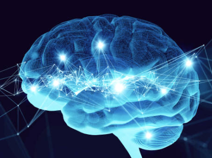 Stress, hormone et cerveau.