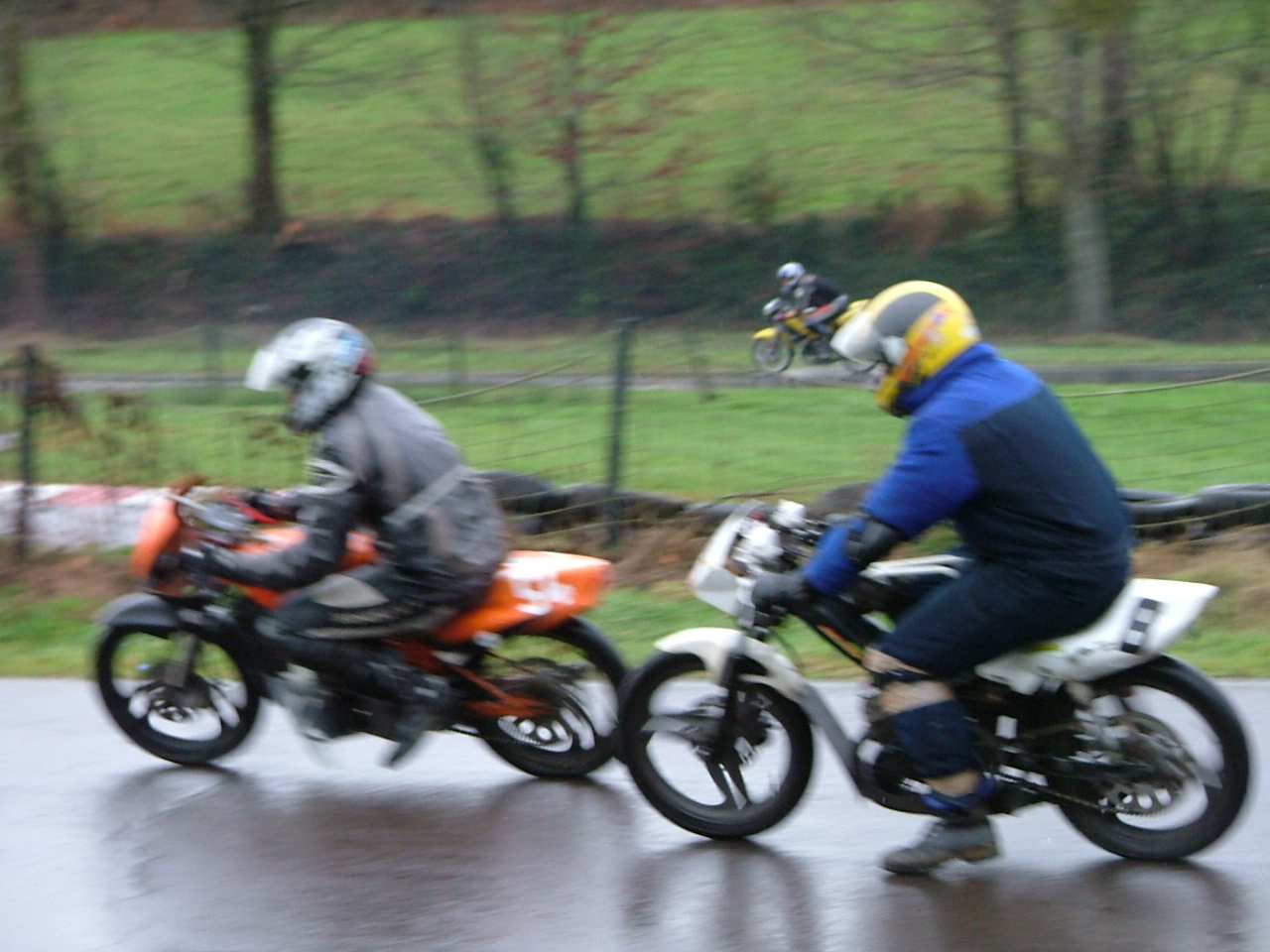Telethon 2009 16 