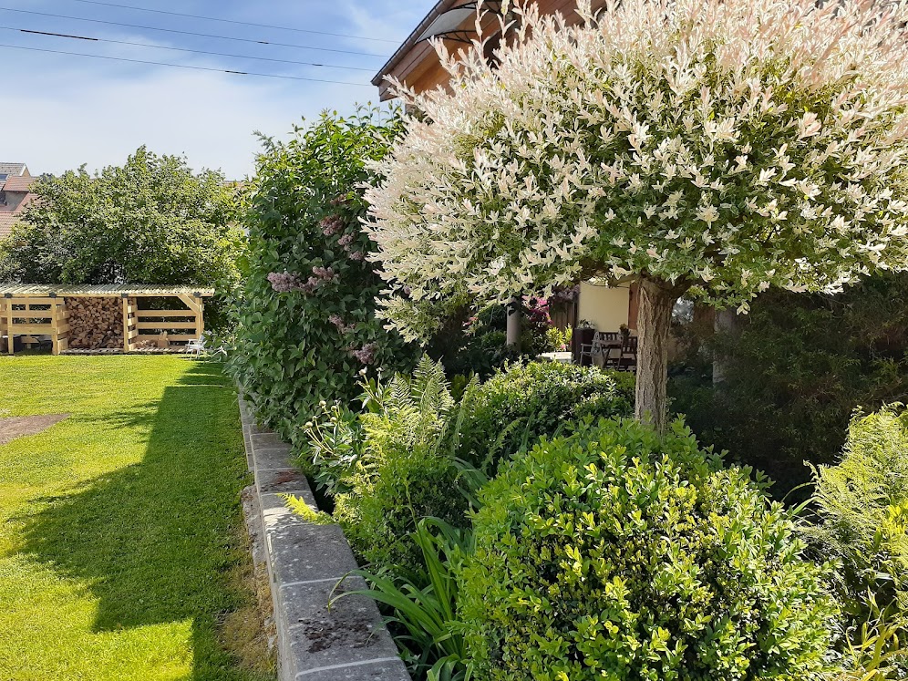 20220528 114839 copie