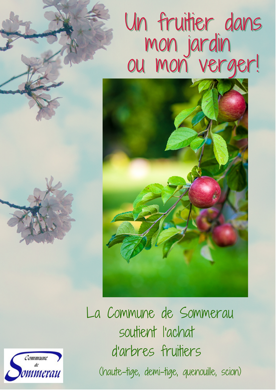 Arbres-fruitiers