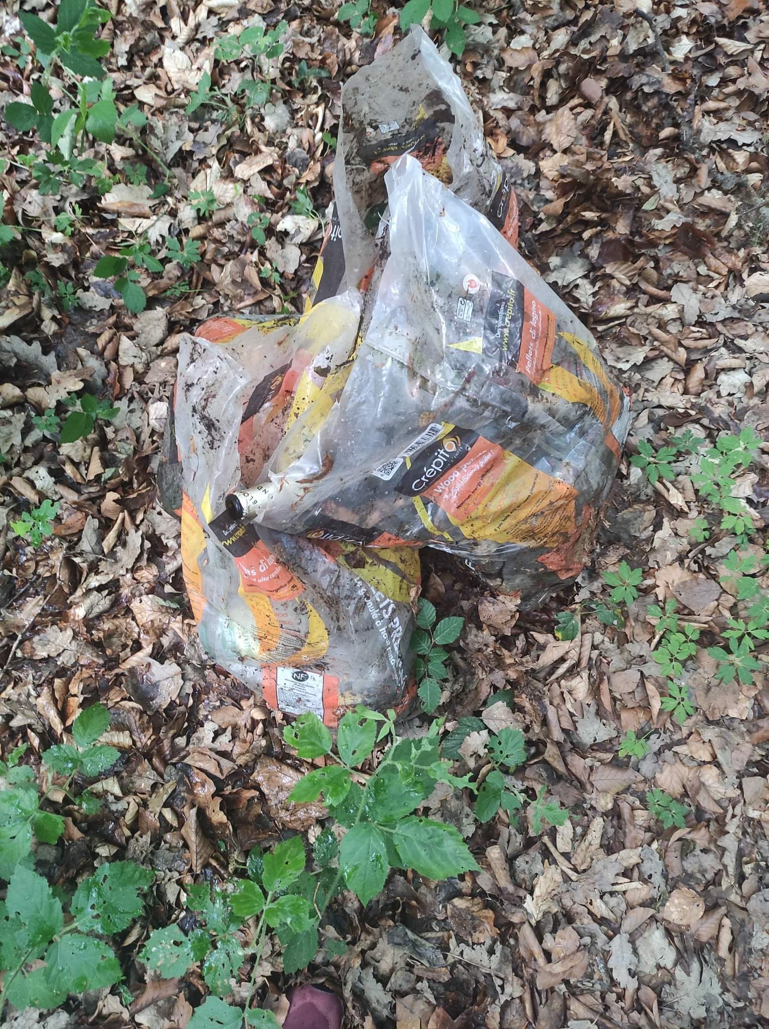 Image4