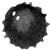 Tachette