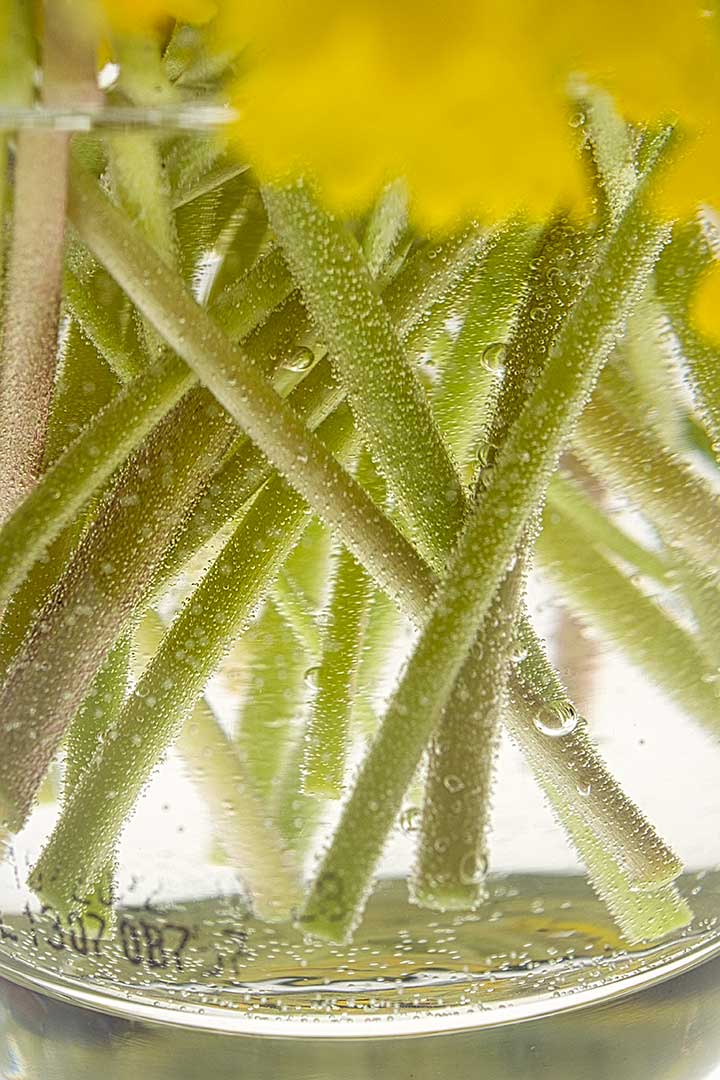 Verre moutarde