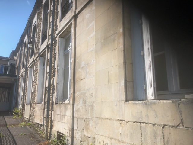 Image1