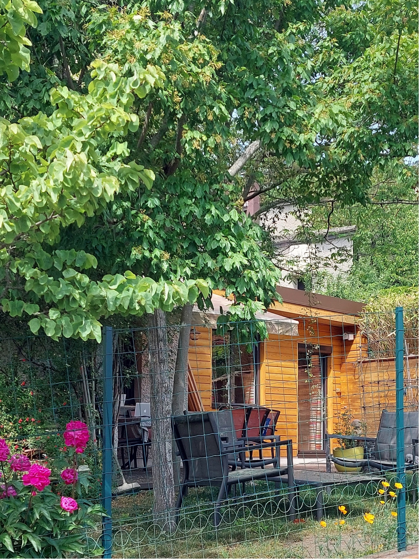 Image-maison