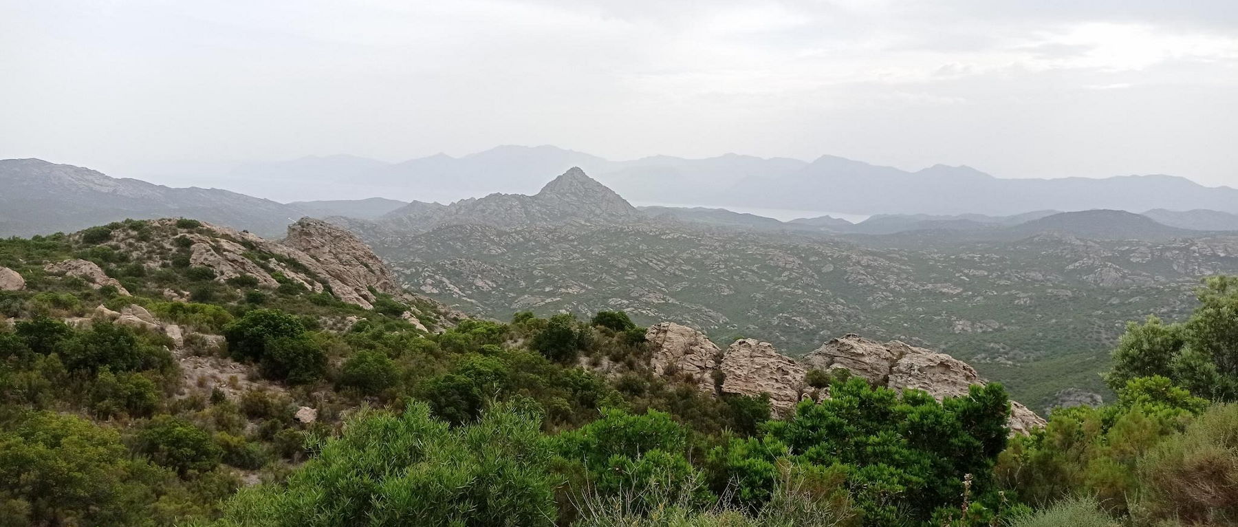 Signal 2022 06 05 103052