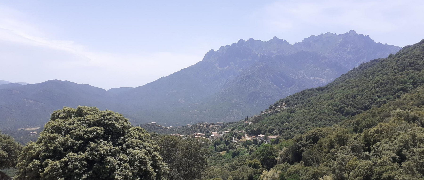 Signal 2022 06 05 180832 002