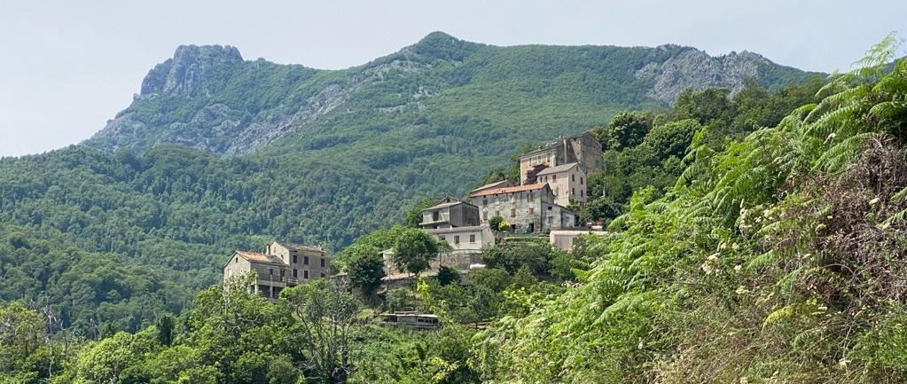 Signal 2022 06 07 080455 002