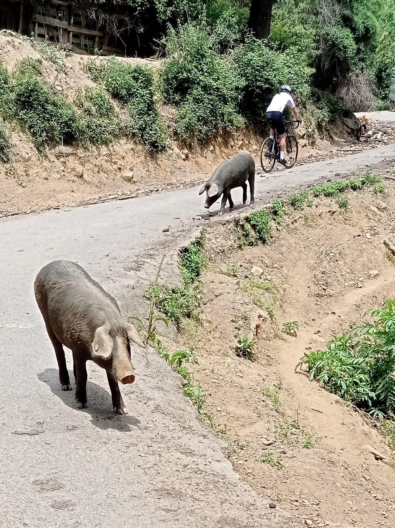 Signal 2022 06 07 080455 005