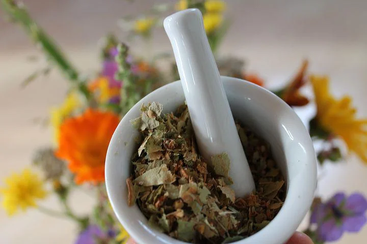 Floral-medicine-1738214  480