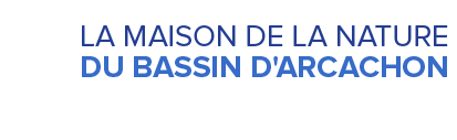 Maison-de-la-Nature-du-Bassin-d-Arcachon
