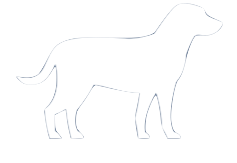 Picto-chien-pegase-blanc-fond-bleu-png