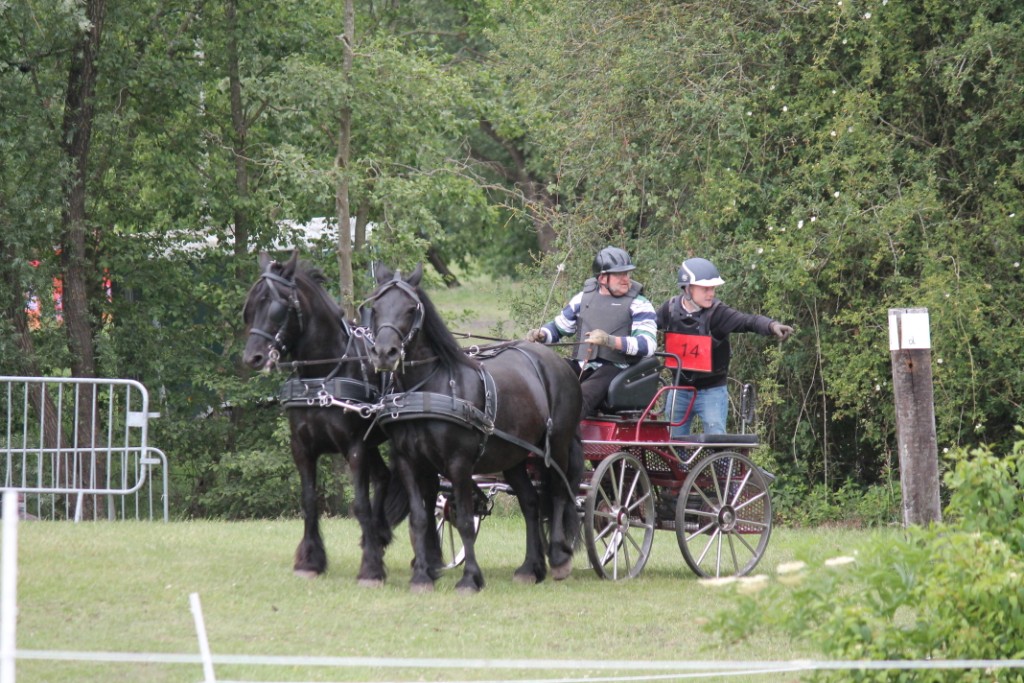 N14 03e