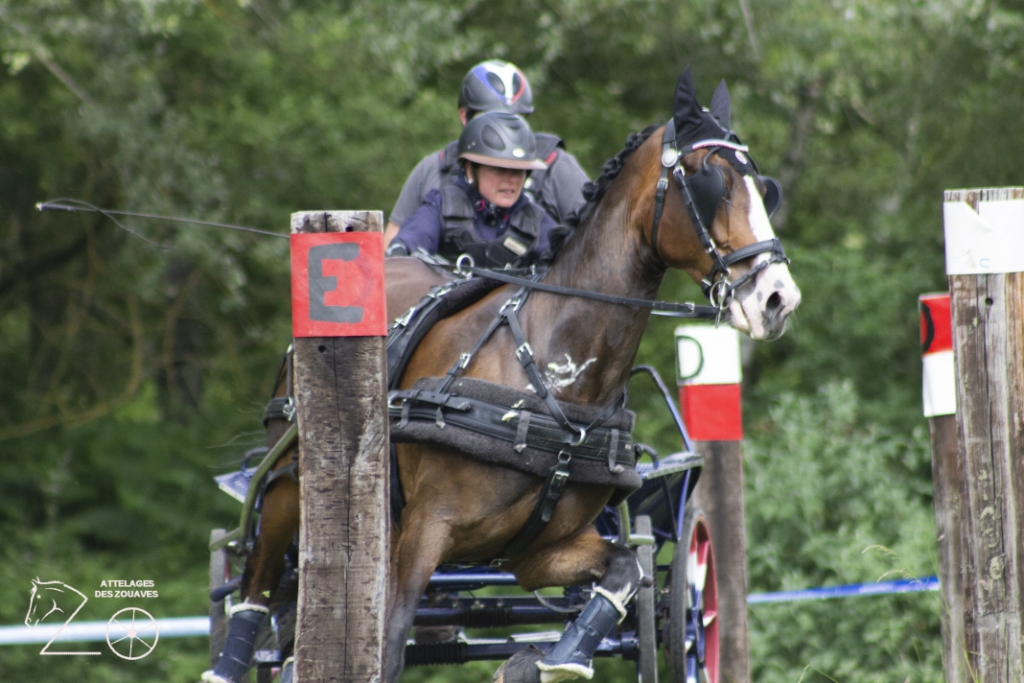 N22 01e