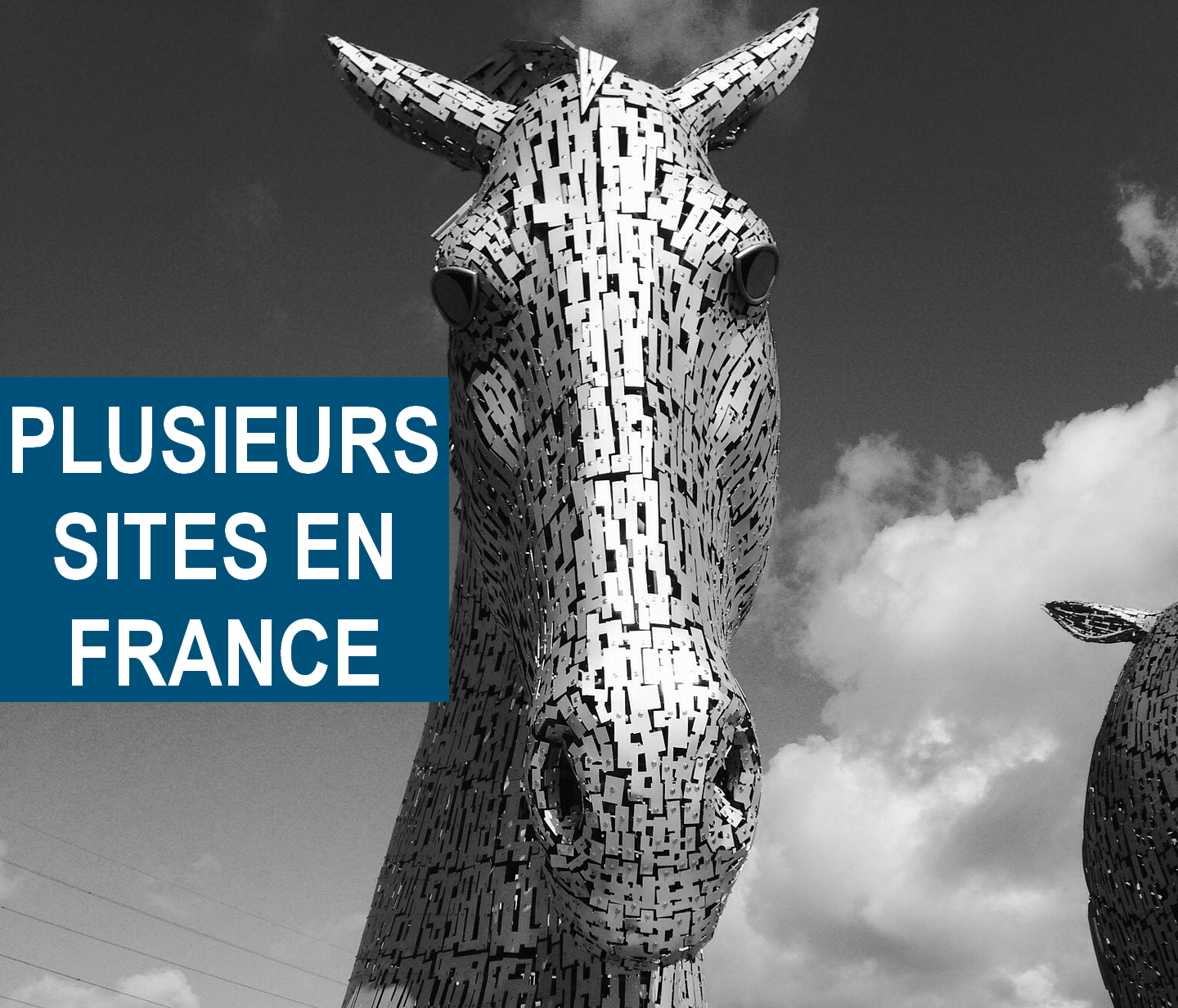 LEADERSHIP AVEC LE CHEVAL