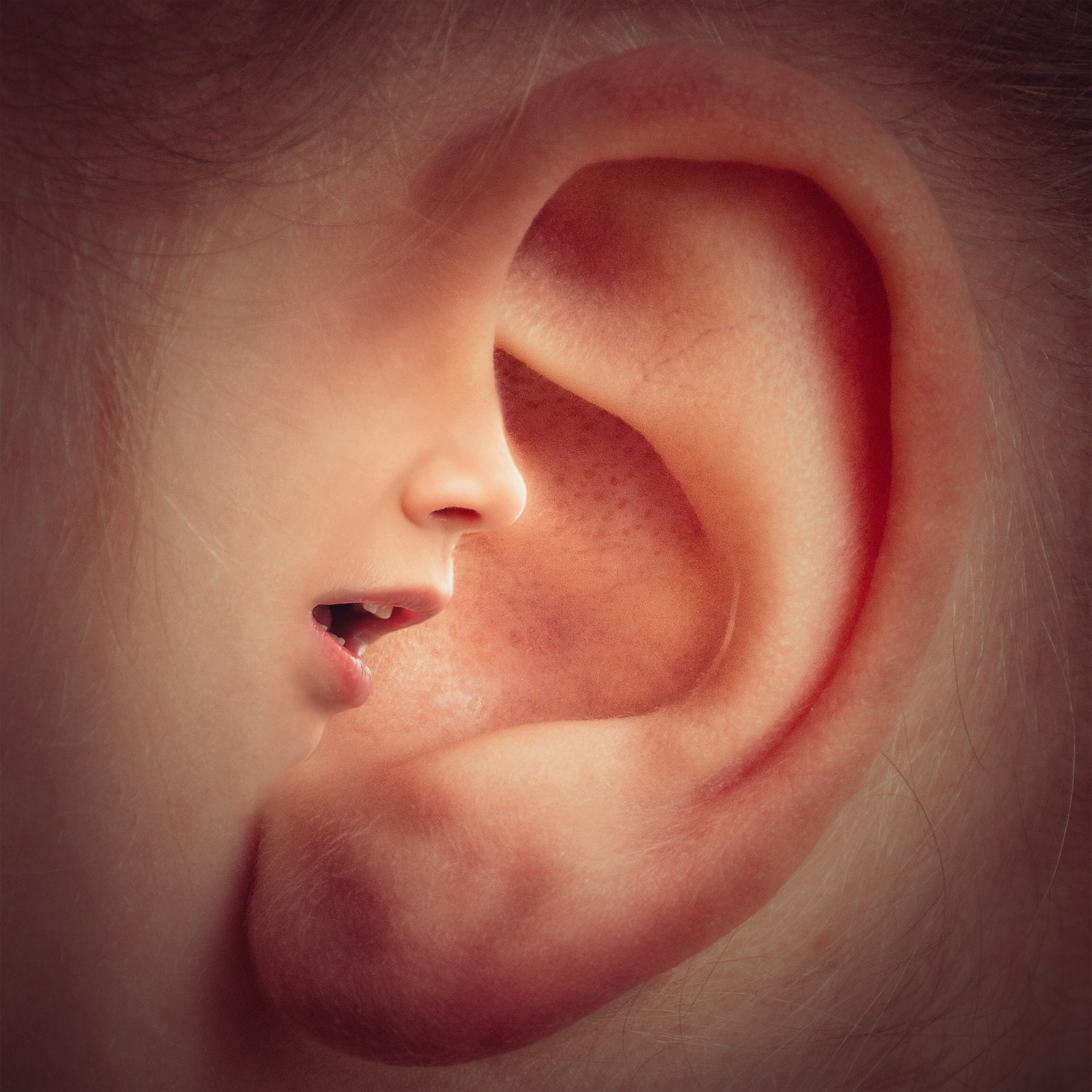 Ear-gc226e411d 1920