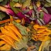 Les cueilletes d'Amélie, herbes aromatiques et médicinales, tisanes, huiles essentielles