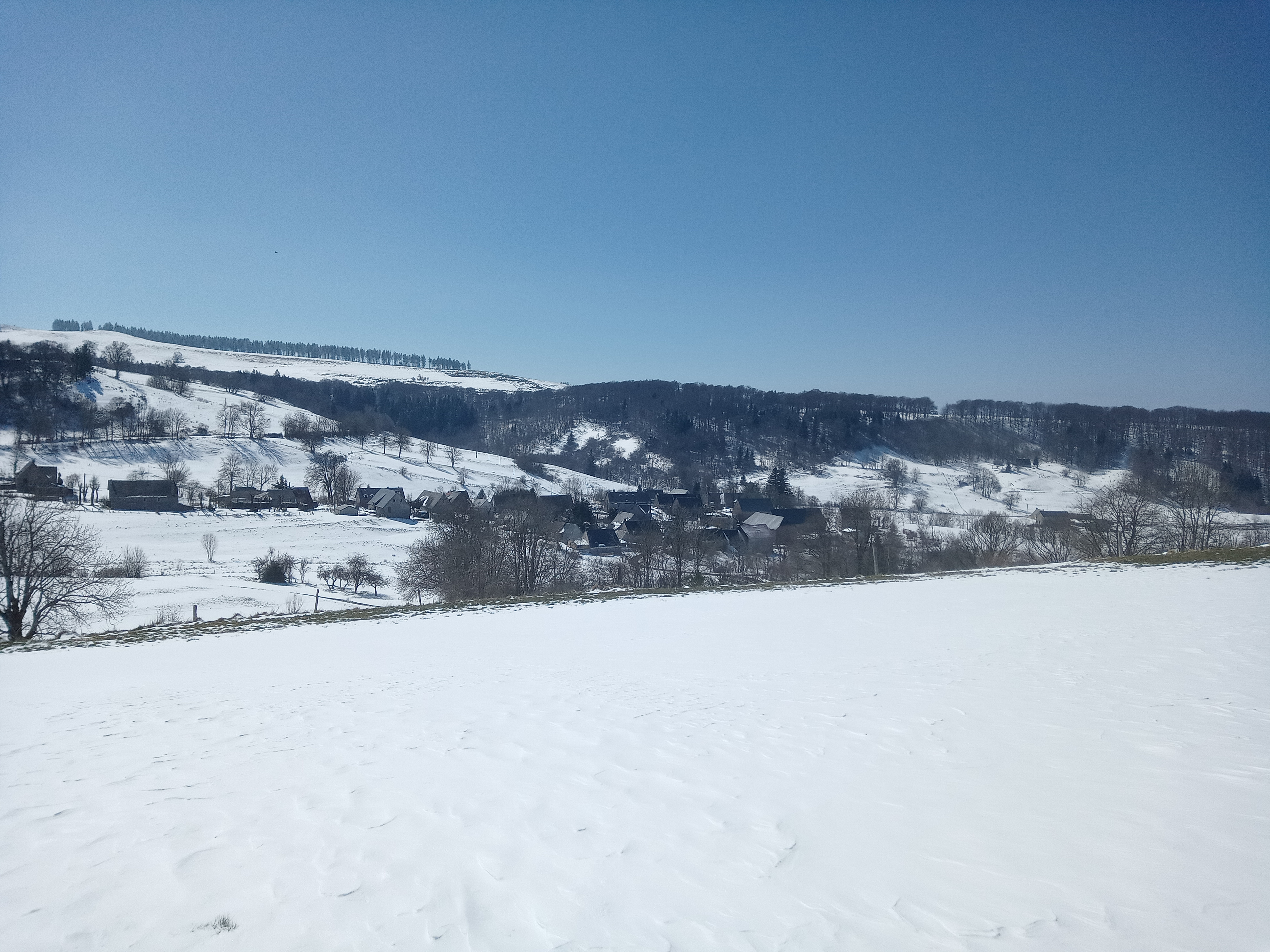 Img 20220404 132645215