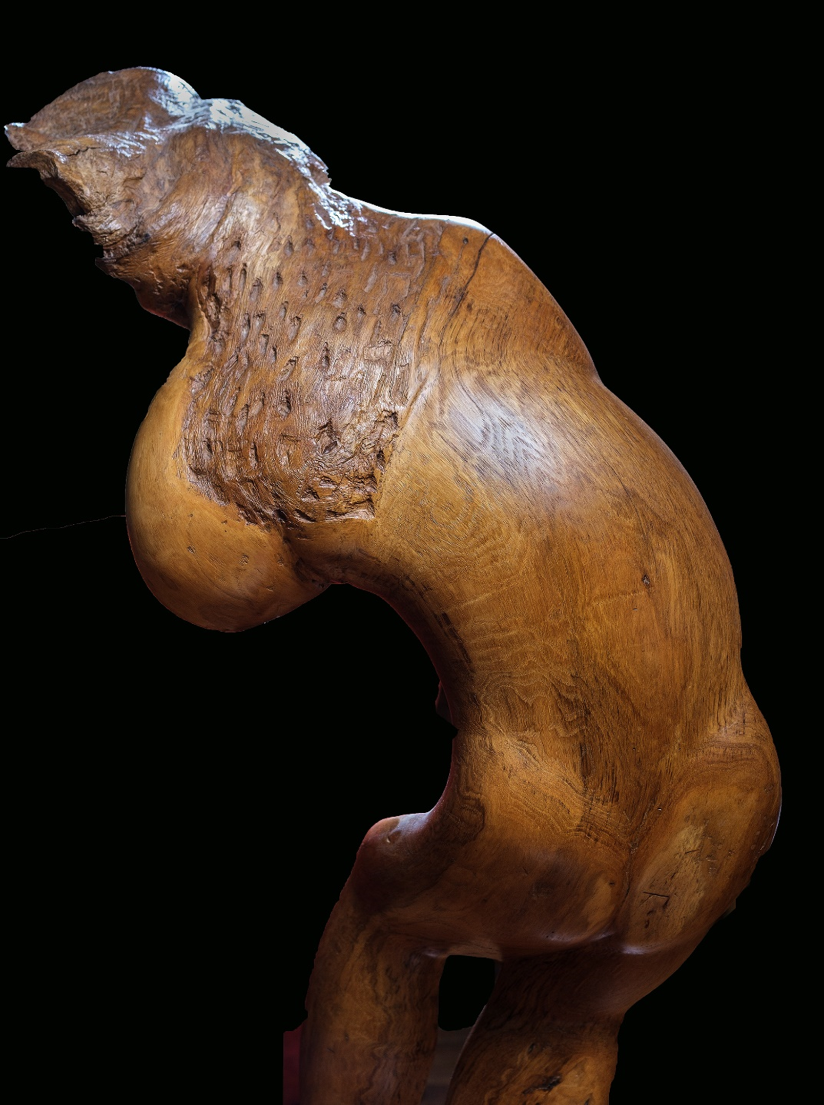 Sculpt3 vieil hommme