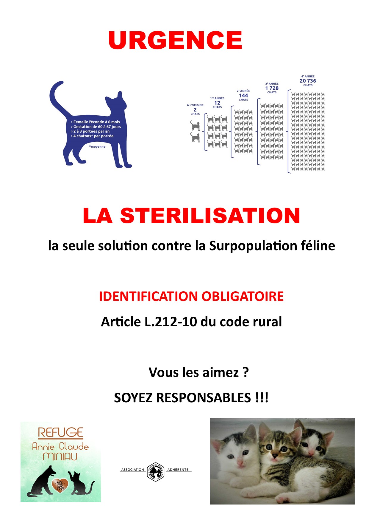 Sterilisation-chat-urgence