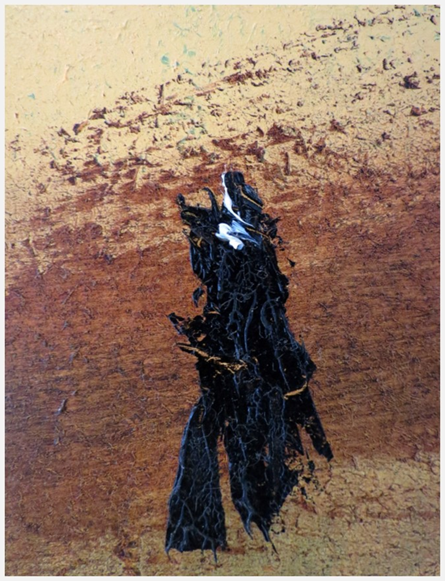 Image6