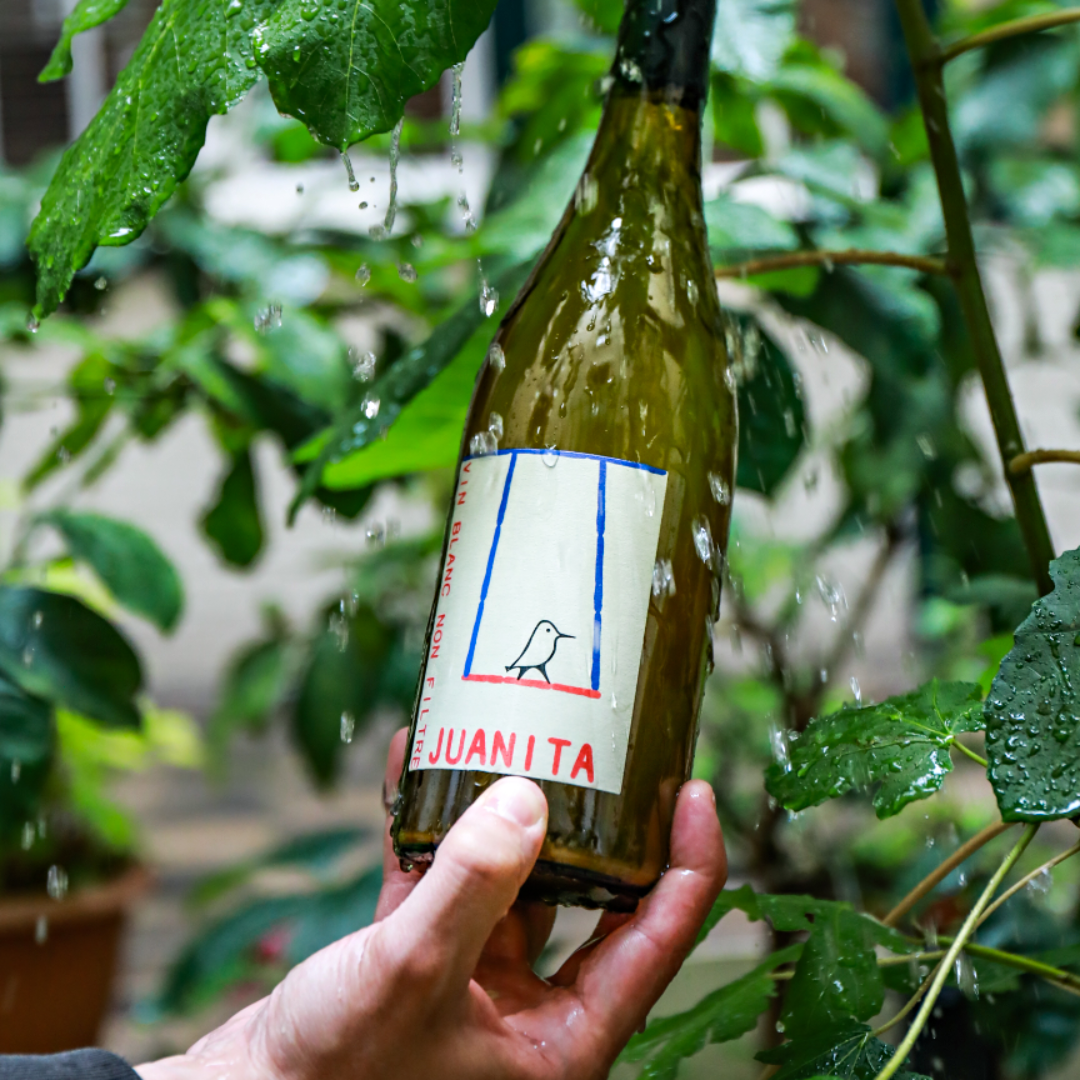 Bouteille de vin blanc Juanita Banjo Vino