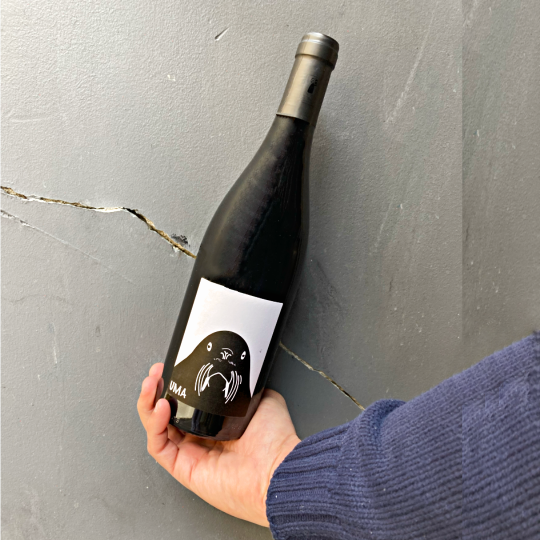 Bouteille de vin rouge UMA Banjo VIno