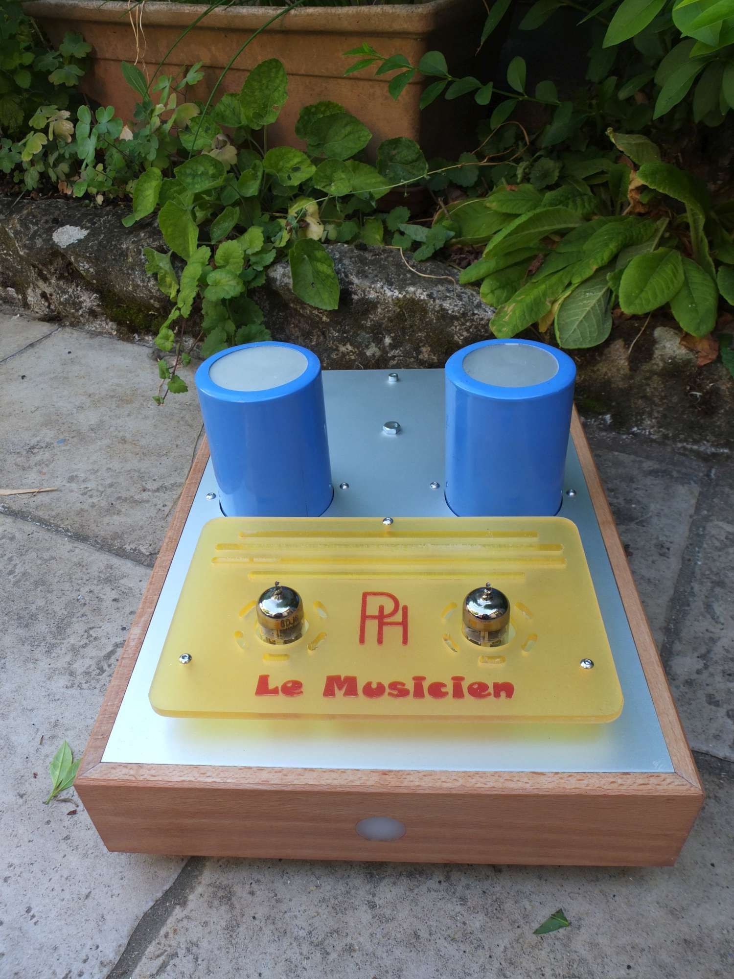 Le musicien 3 