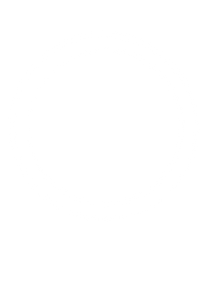Logo-df-vecteur-blanc