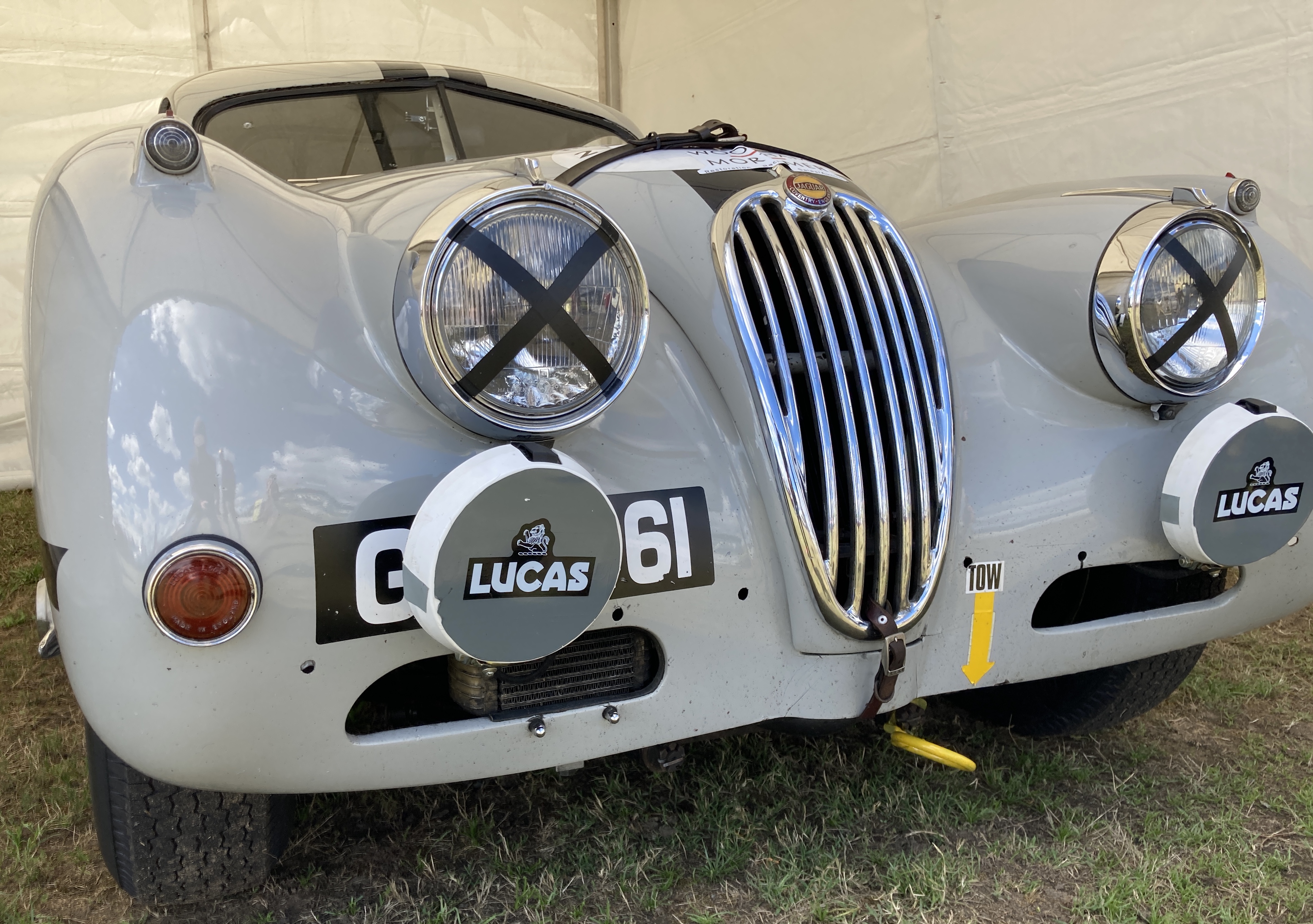 Jaguar-copie
