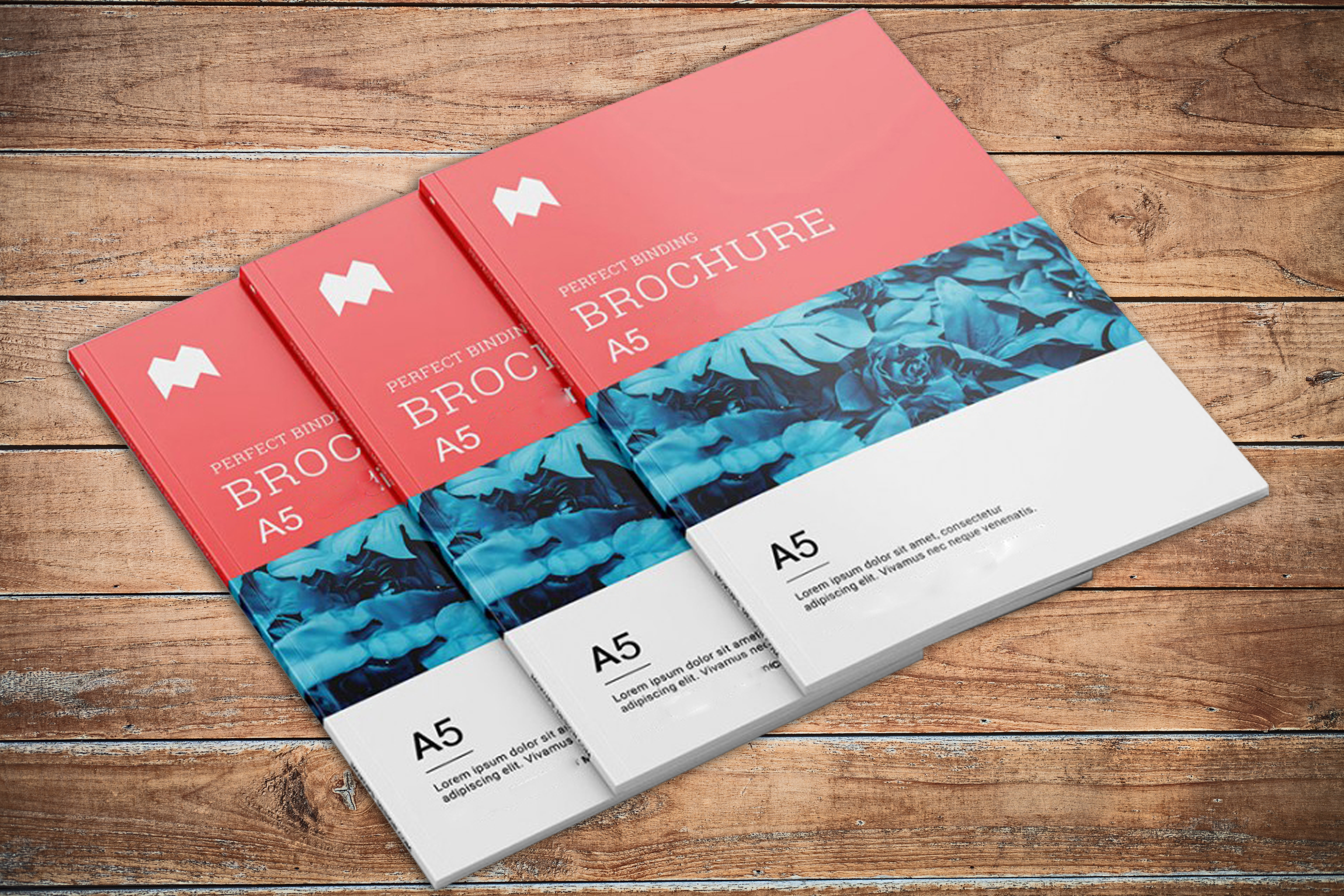 Brochures a5