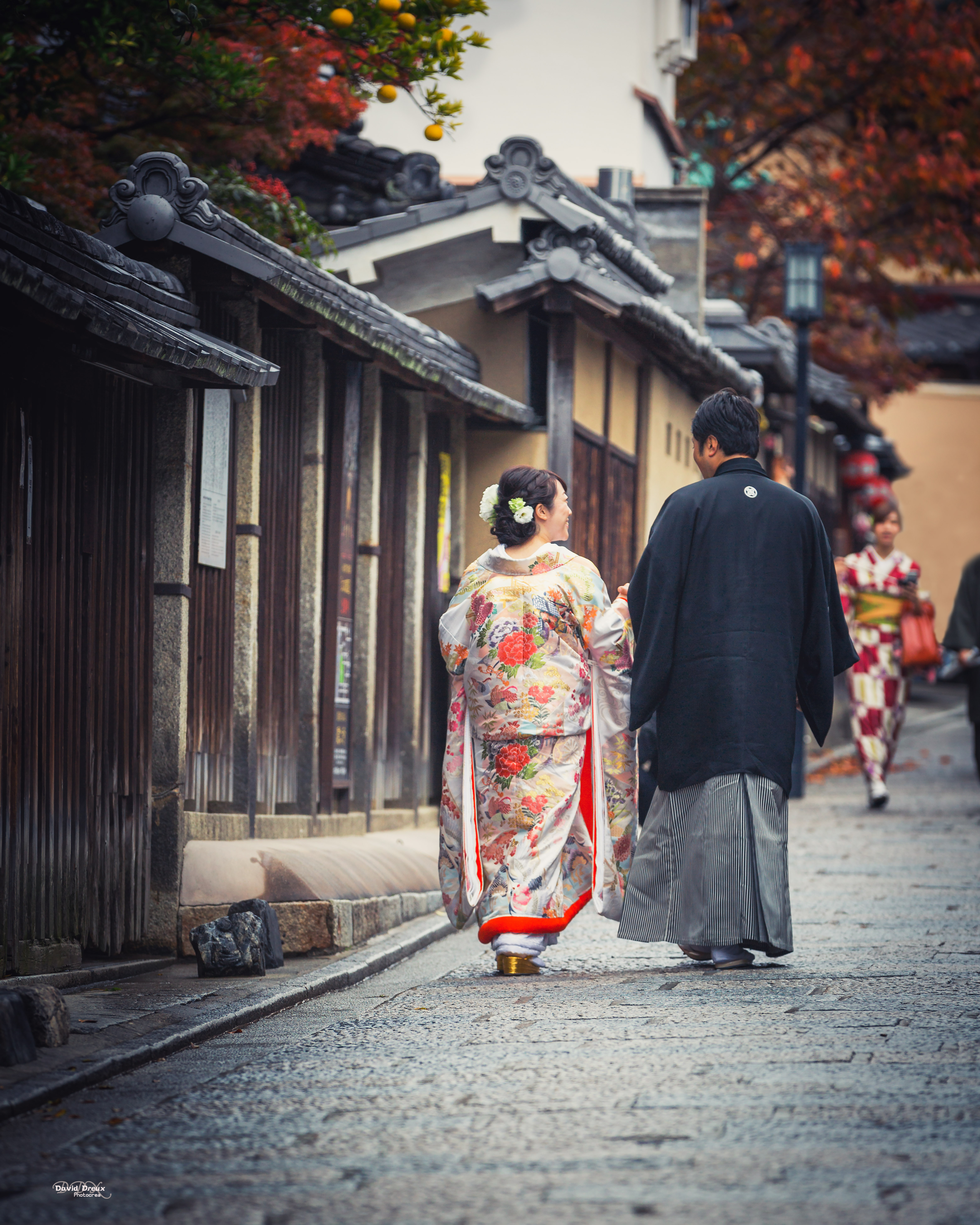 Japan 2c 151 kyoto