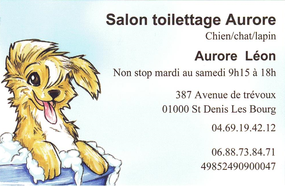 Aurore toilettage