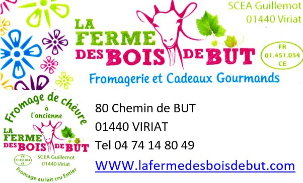 Bois de but ok