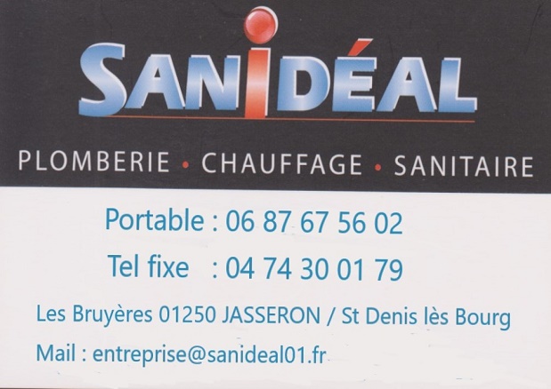 Sanideal fini jpg