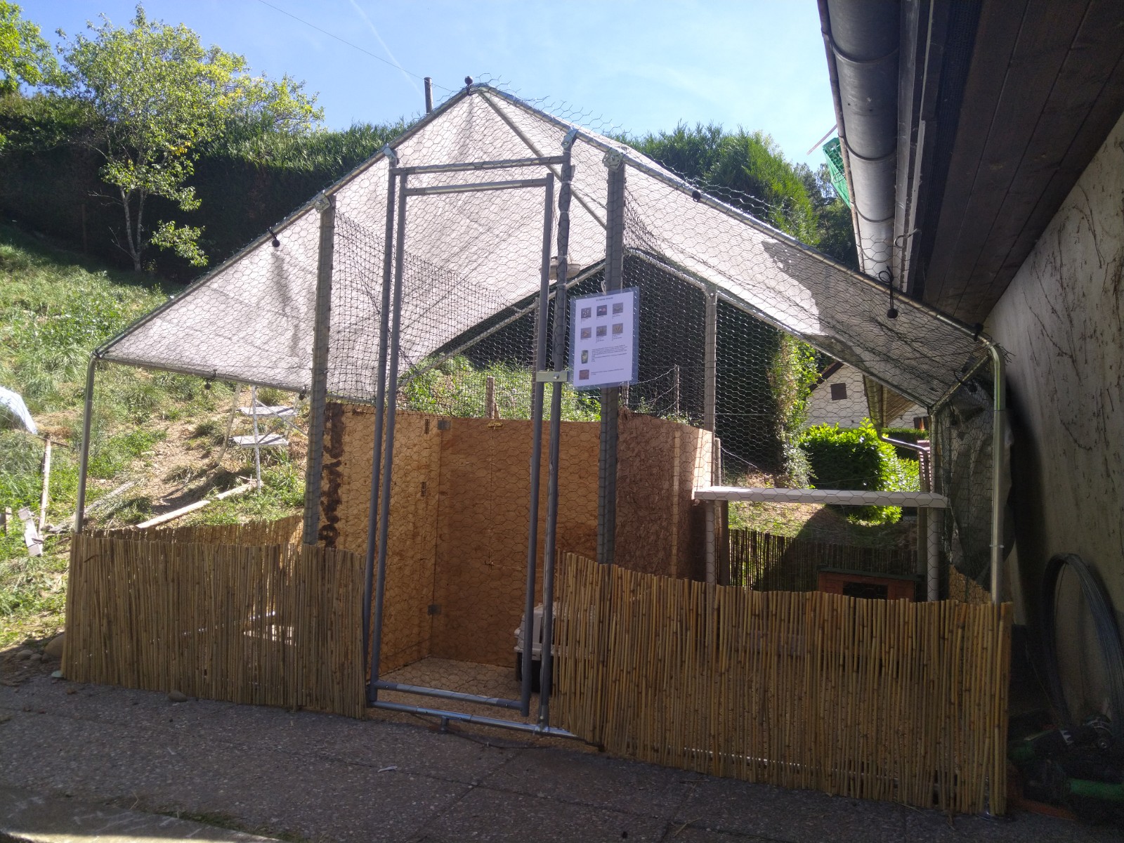 IMG 20220712 105409