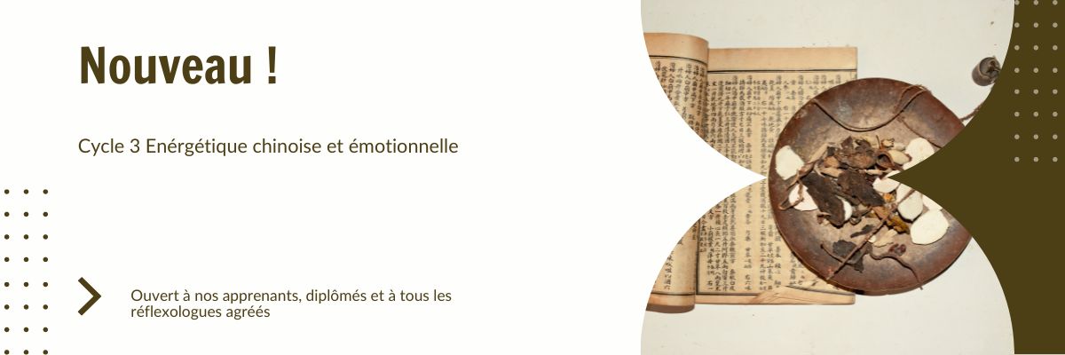 Site univers en racine accueil reflexologie orcier 2 