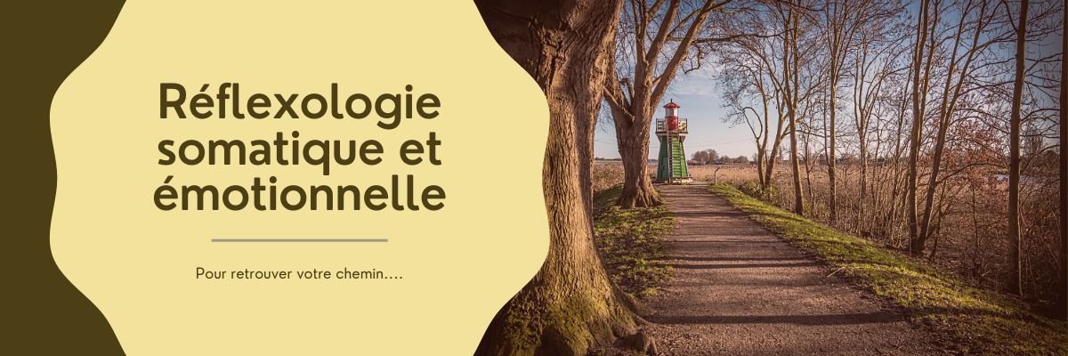 Site univers en racine accueil reflexologie orcier 4 