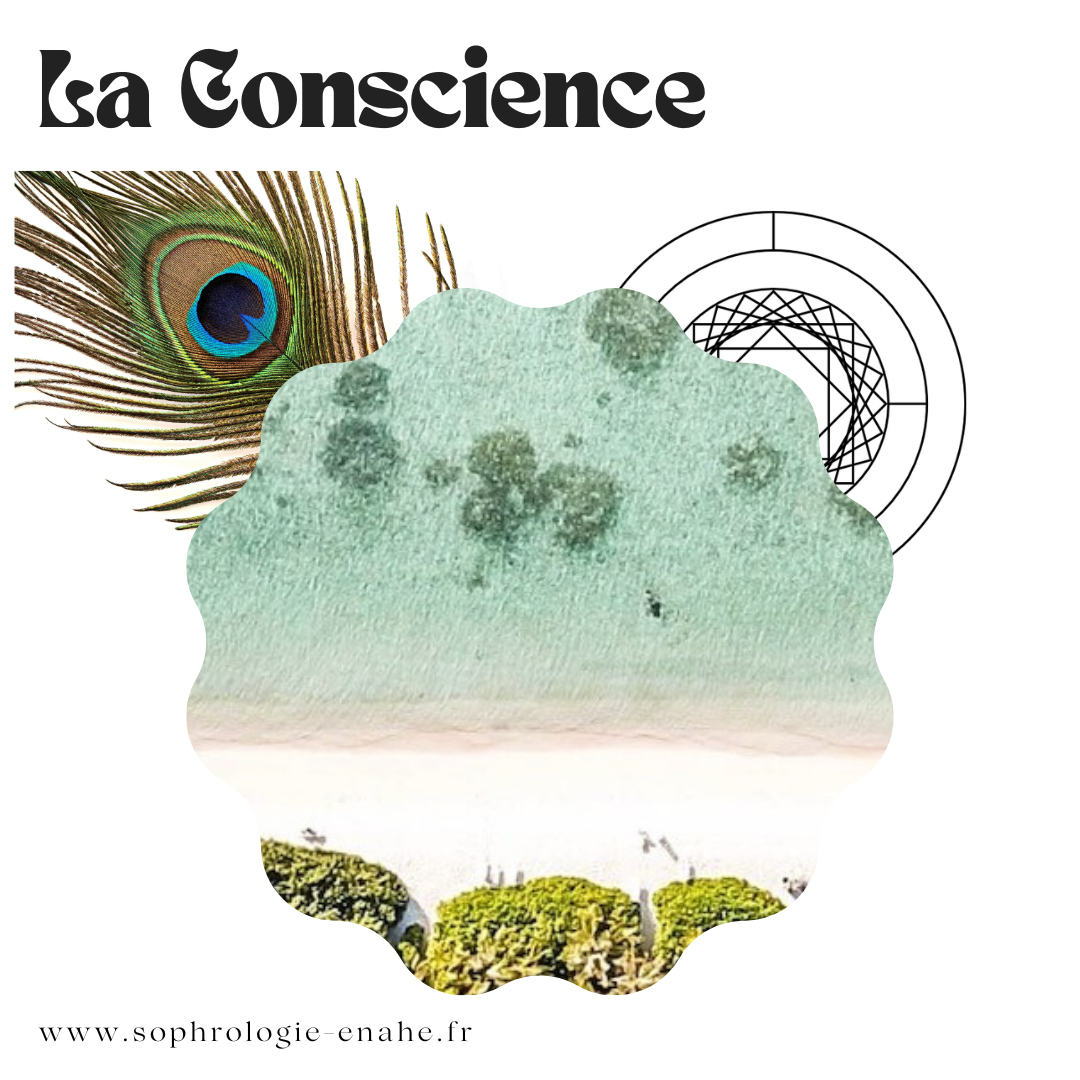 La Conscience