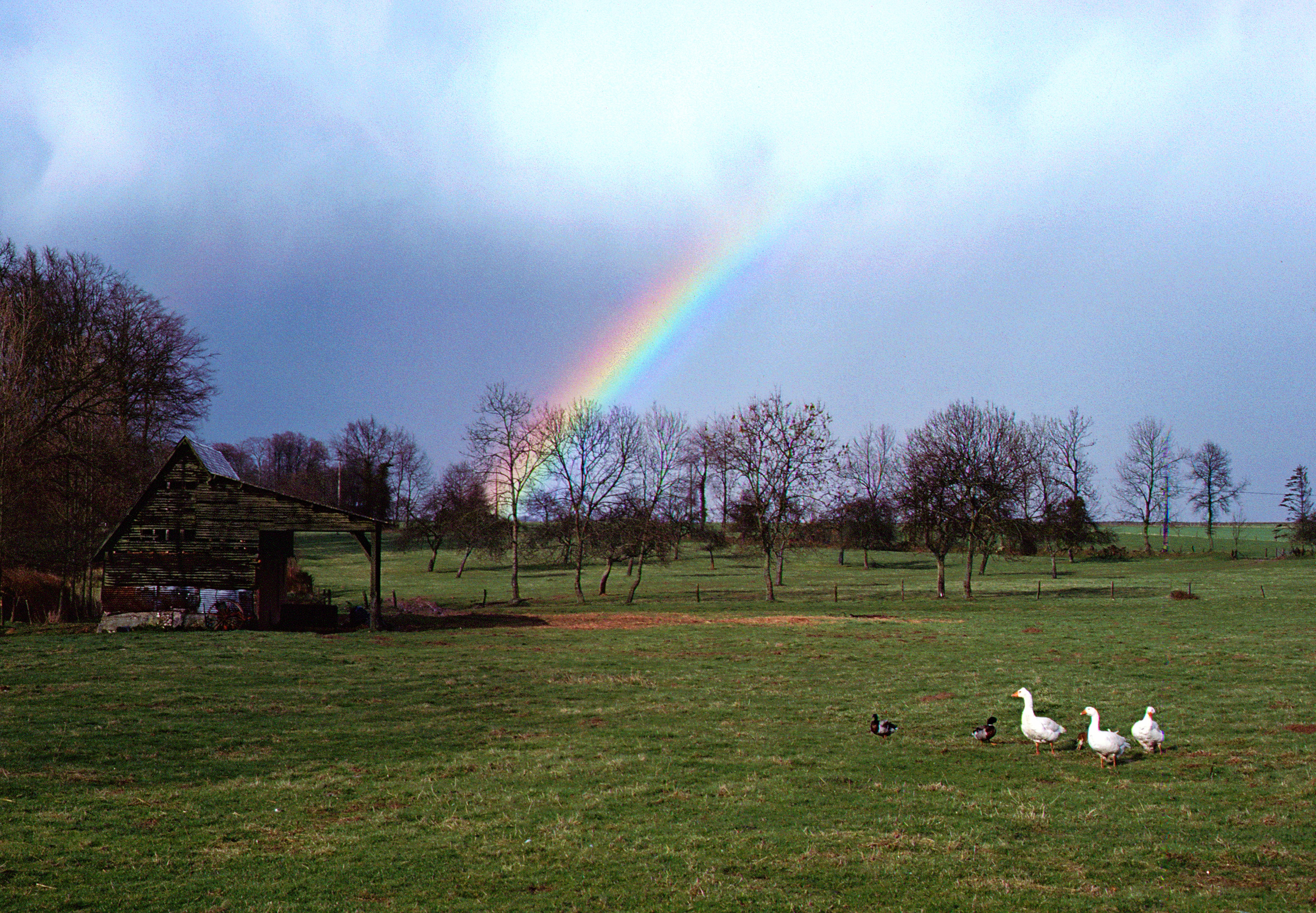 Paysage-arc-en-ciel-web-01